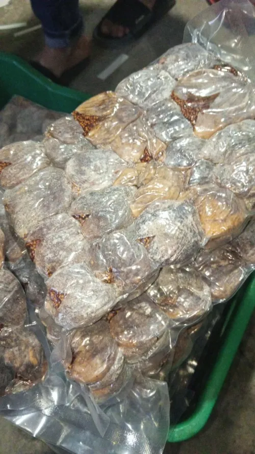 تيزي نبراهم ولاية سطيف