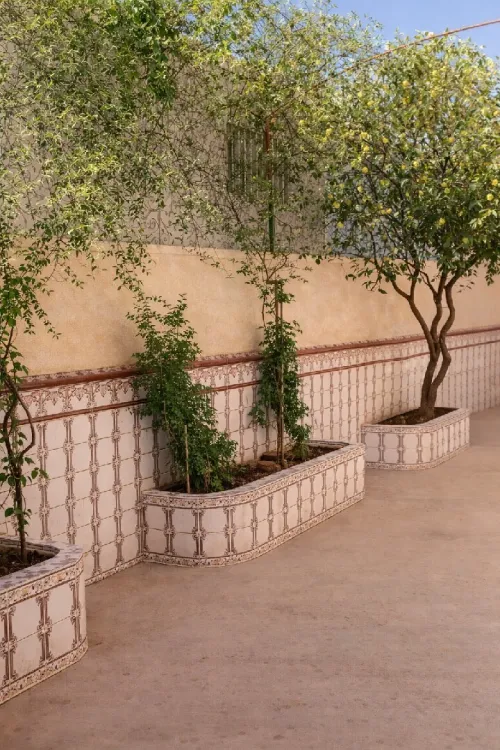 Vente Villa Blida Blida