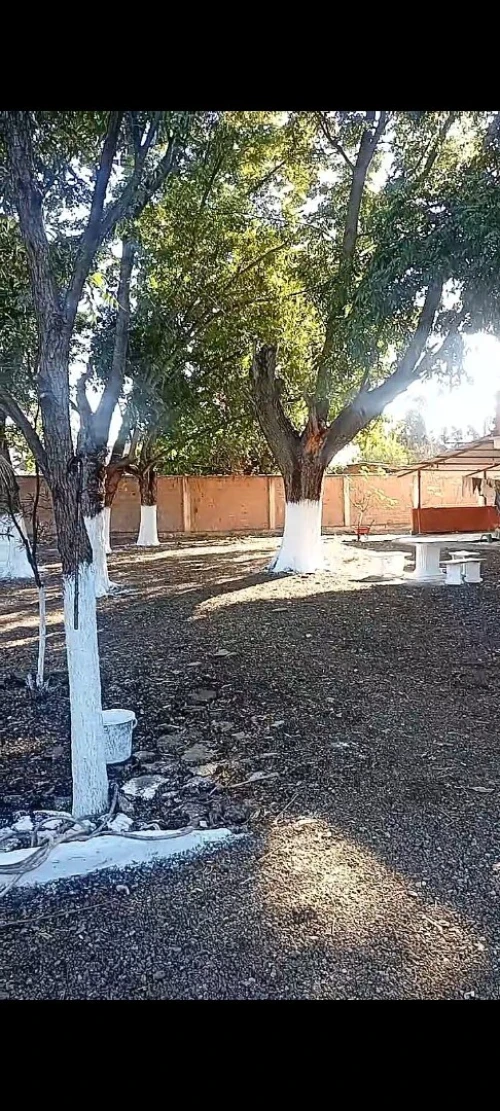 Vente Villa Blida Mouzaia