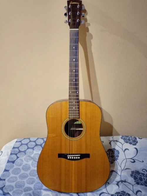 Guitare folk