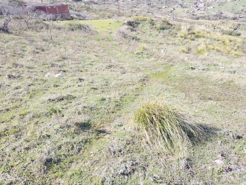 Vente Terrain Béjaïa Adekar