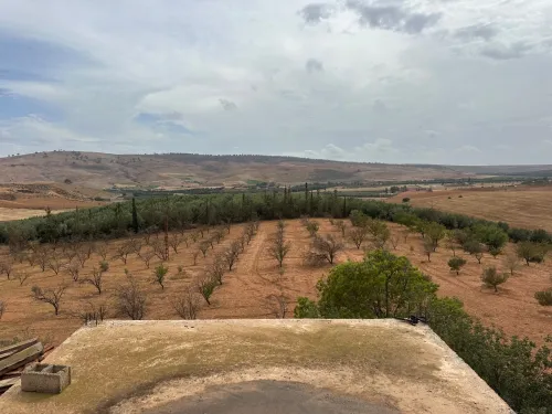 Vente Terrain Agricole Sidi Bel Abbès Sidi hamadouche