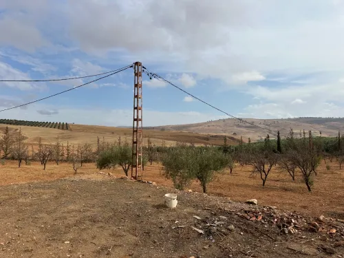 Vente Terrain Agricole Sidi Bel Abbès Sidi hamadouche