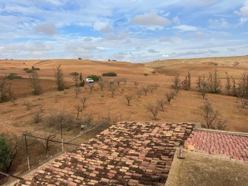 Vente Terrain Agricole Sidi Bel Abbès Sidi hamadouche