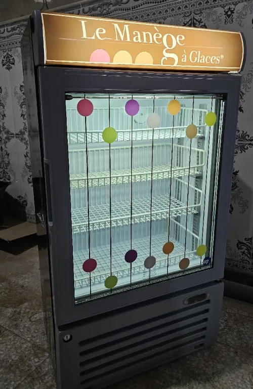 Congélateur à glace comptoir professionnel 