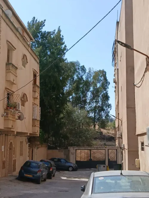 Vente Appartement F4 Alger Dely brahim