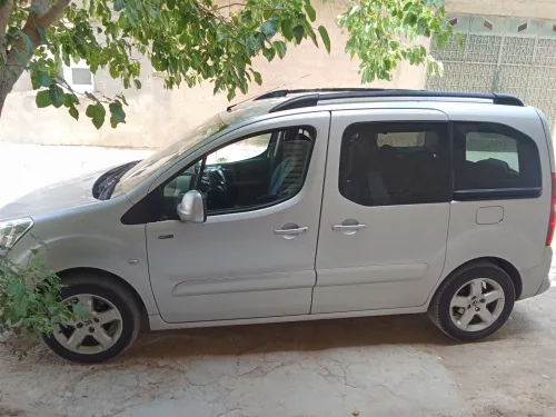 Peugeot Teppe 2012 Pertner Tepee