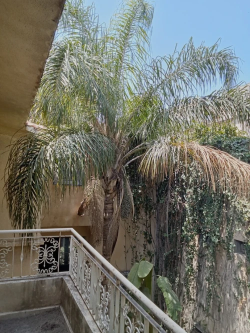 Location Villa Alger Bab ezzouar