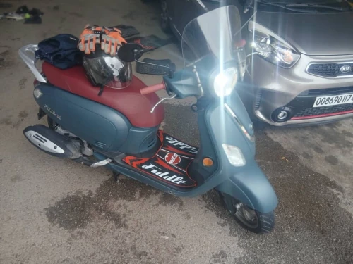 Sym Fiddle 2025