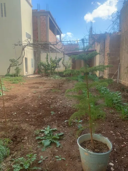 Vente Villa Chlef Oued fodda