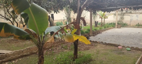 Vente Villa Alger Baba hassen