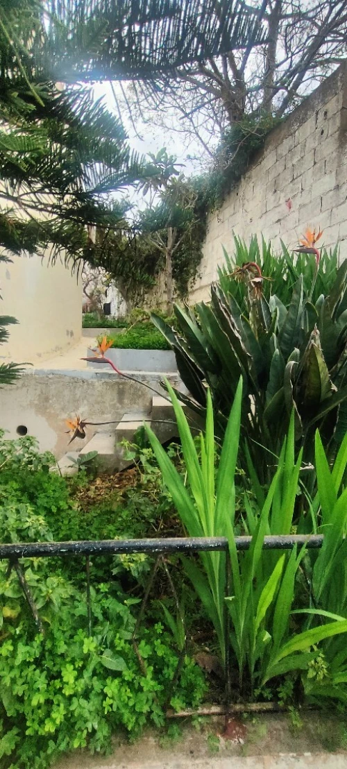 Vente Villa Alger Bouzareah