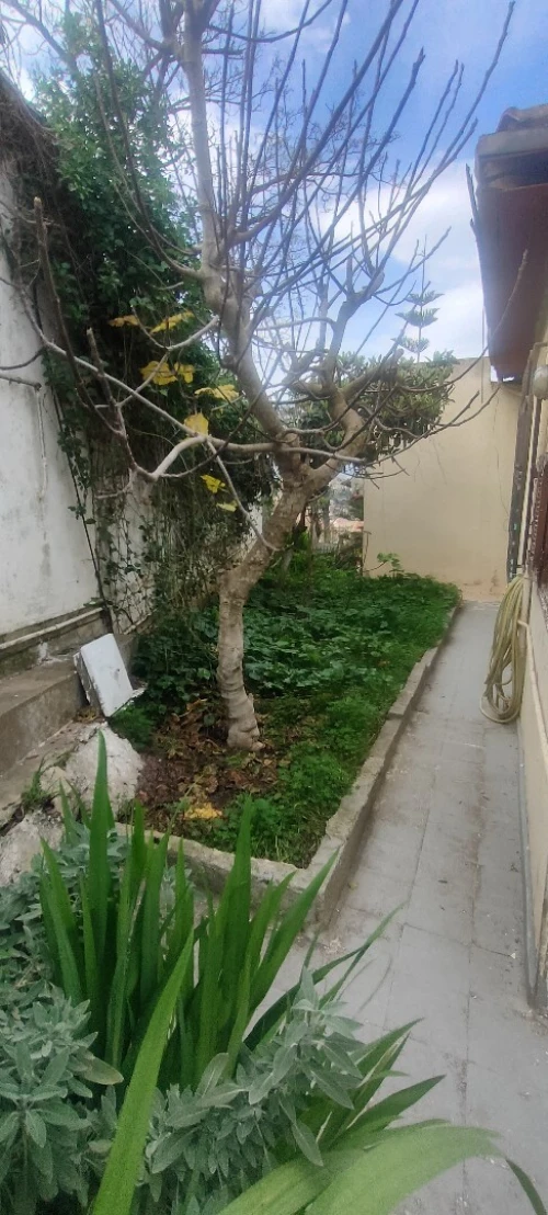 Vente Villa Alger Bouzareah