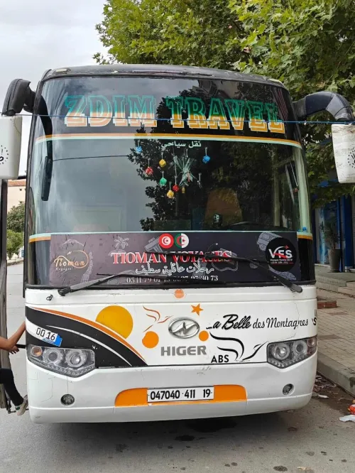 Higer V91 2011