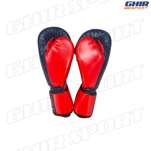 Gants de Boxe TOP TEN | 01454