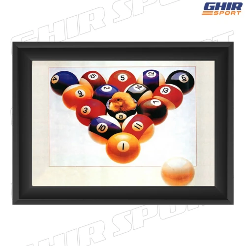 CADRE DECORATIF POUR SALLE DE BILLARD | 01095