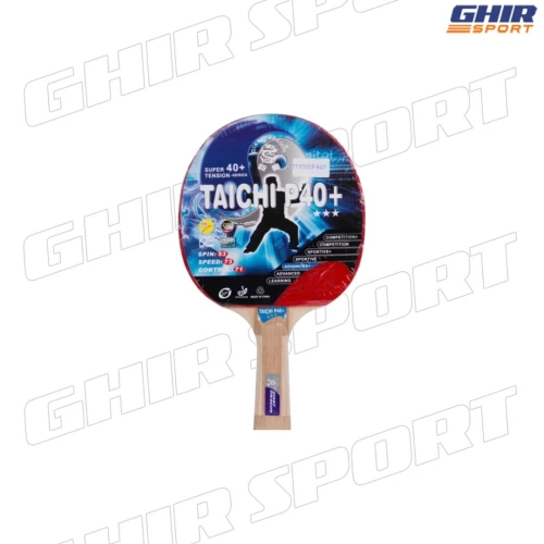 PING PONG RAQUETTE GIANT DRAGON TAICHI P40+  | 01146