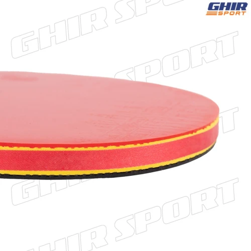 PING PONG RAQUETTE GIANT DRAGON TAICHI P40+  | 01146
