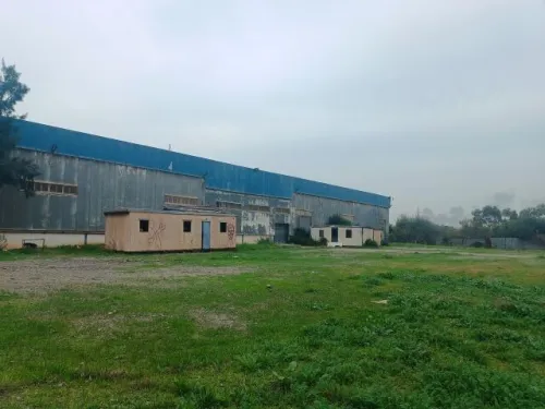 Location Hangar - Usine Alger Reghaia