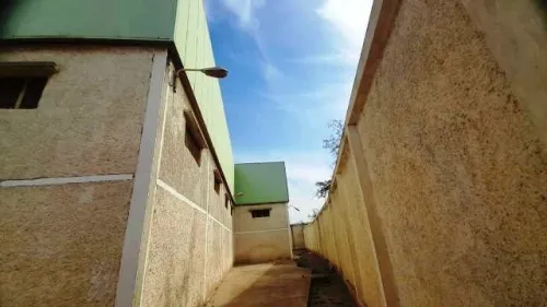 Vente Hangar - Usine Alger Les eucalyptus