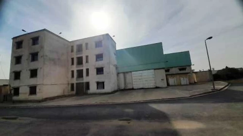 Vente Hangar - Usine Alger Les eucalyptus