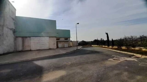 Location Hangar - Usine Alger Les eucalyptus