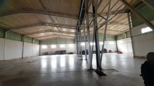 Location Hangar - Usine Alger Les eucalyptus