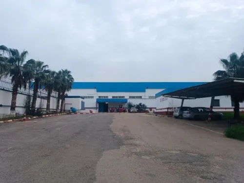 Location Hangar - Usine Alger Reghaia