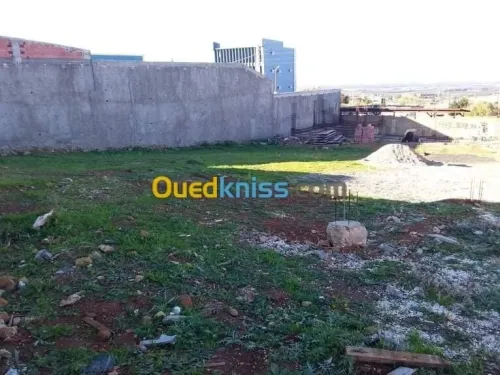 Vente Terrain Blida Chiffa