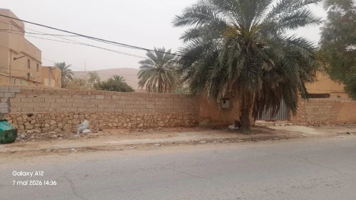 Location Terrain Ghardaïa El atteuf