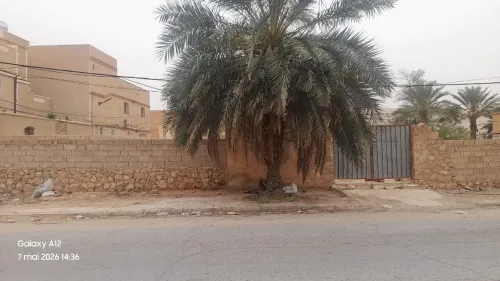Location Terrain Ghardaïa El atteuf