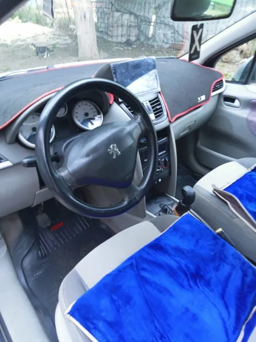 Peugeot 207 2007 207