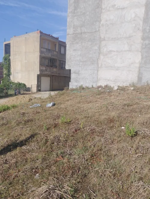 Vente Terrain Jijel Kaous