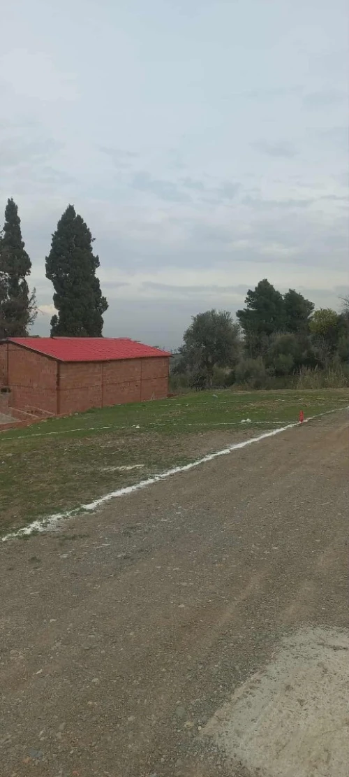 Vente Terrain Blida Blida