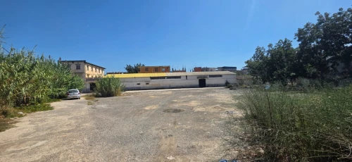 Vente Hangar Alger Birtouta