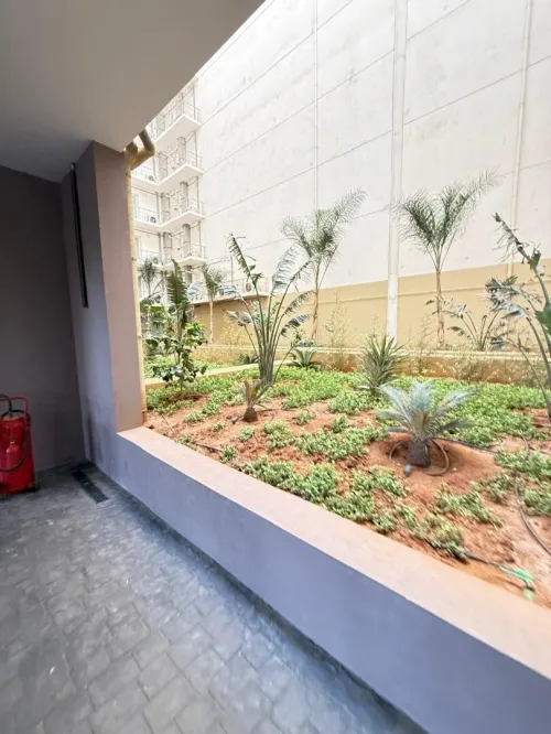 Vente Appartement F4 Alger Dely brahim