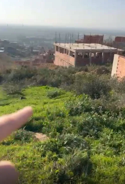Vente Terrain Blida Meftah