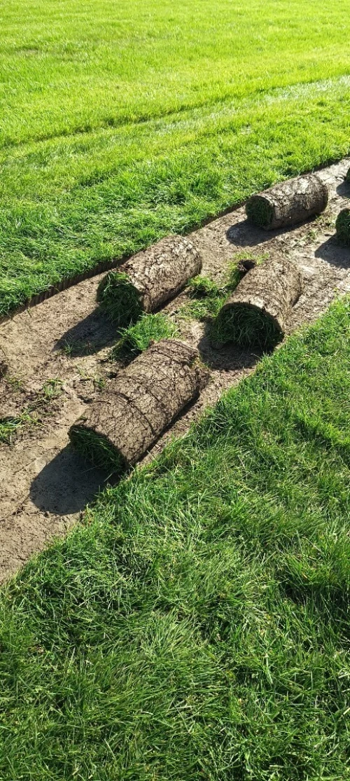 Nettoyage jardin gazon naturel 