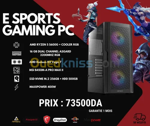 Pc gamer RYZEN 5 5600G