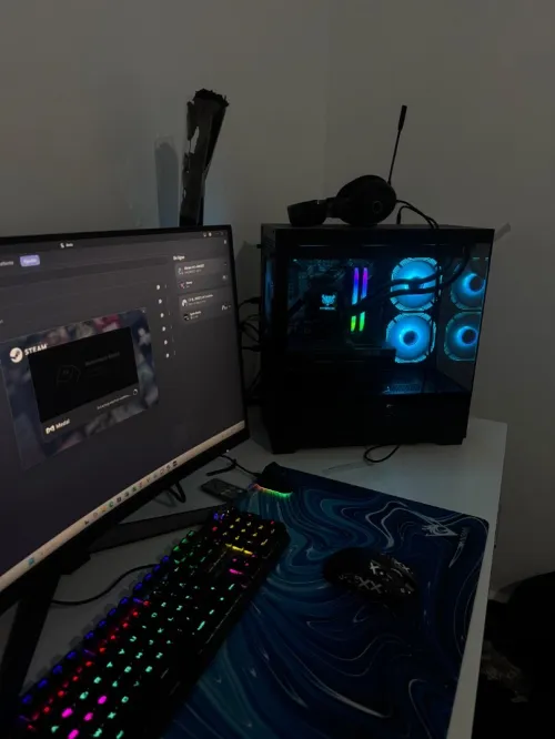 PC gamer