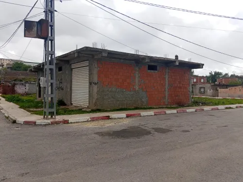 Vente Terrain Annaba Oued el aneb