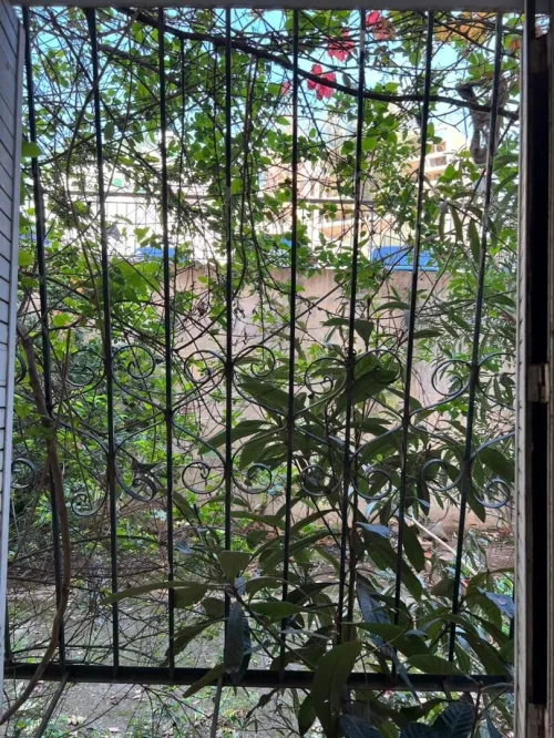 Vente Appartement F4 Alger Hydra