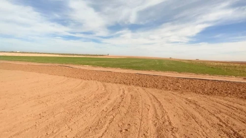 Vente Terrain Agricole Djelfa Benhar