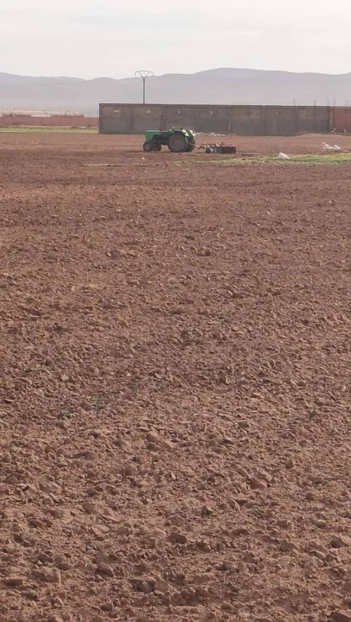 Vente Terrain Agricole Djelfa Benhar
