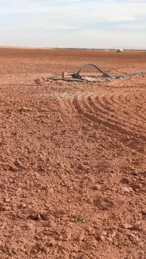 Vente Terrain Agricole Djelfa Benhar