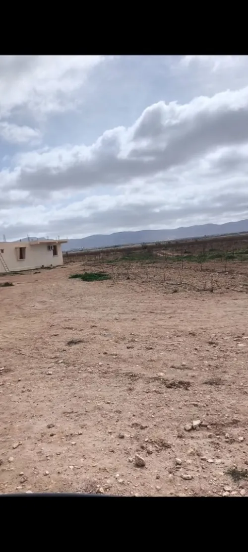 Vente Terrain Agricole Djelfa Benhar