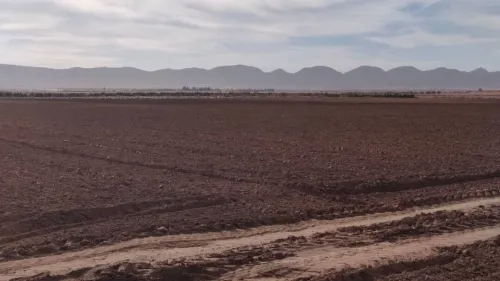 Vente Terrain Agricole Djelfa Benhar