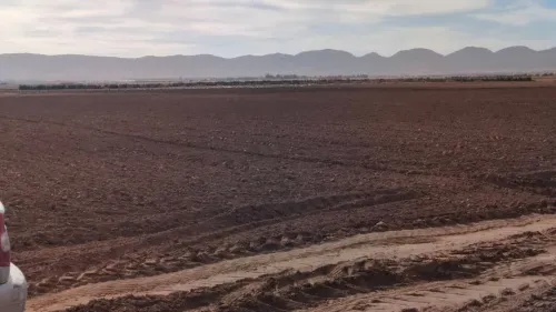 Vente Terrain Agricole Djelfa Benhar