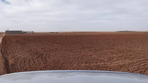 Vente Terrain Agricole Djelfa Benhar
