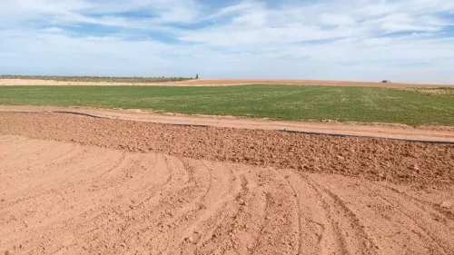 Vente Terrain Agricole Djelfa Benhar